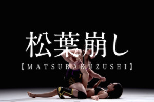 matsuba-kuzushi(松葉崩し) / 5.6オンスTシャツ (Printstar) |