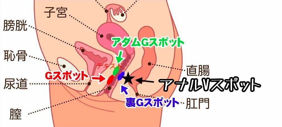 受けが寝た後攻めは何をしていたのか？中出しの”事後処理”に迫る｜BLニュース ちるちる