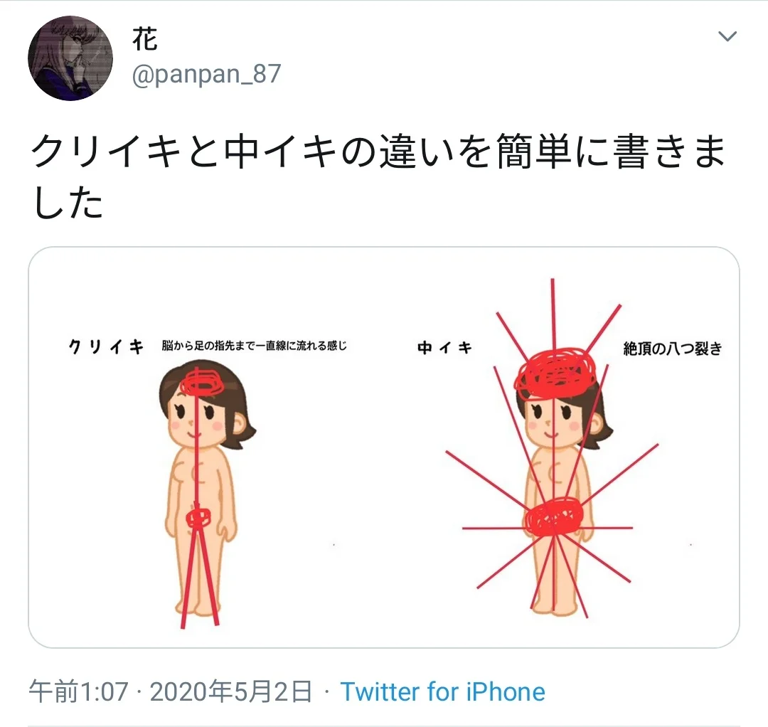 画像】女さんが描いたクリイキと中イキの違いがコチラｗｗｗｗ | まとめちゃんねっと