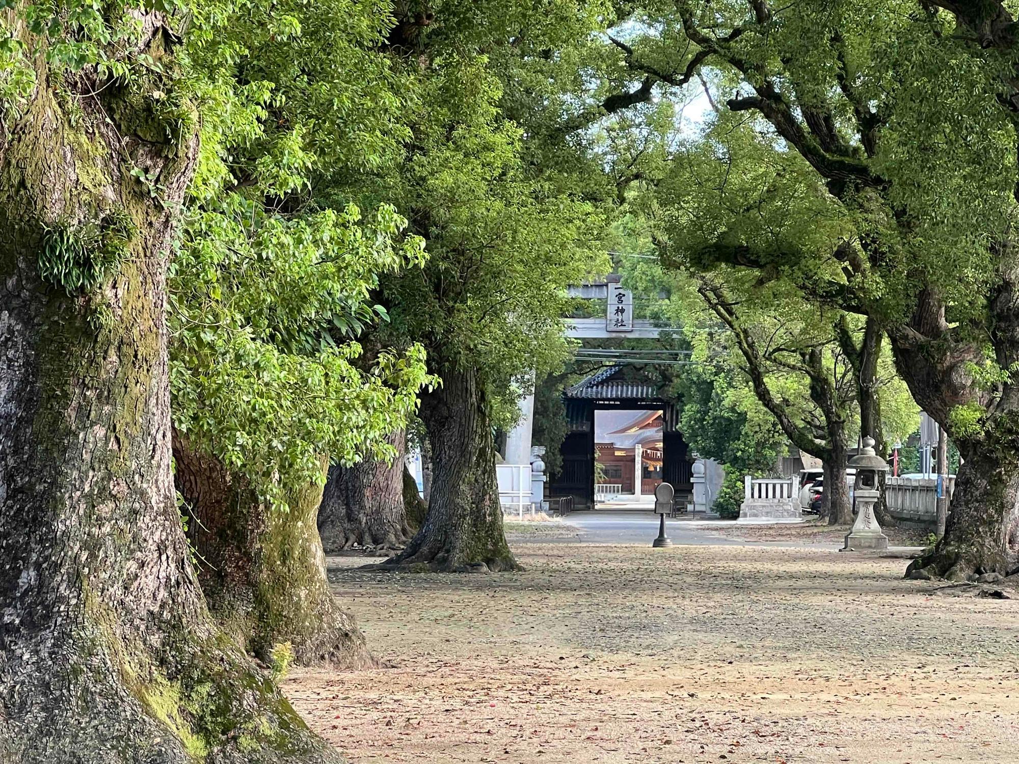 11月15日（金）から17日（日）まで新居浜を拠点に関川、某ダム、西条市を探索しました。 以下は関川の石です。 三波川変成帯になります。