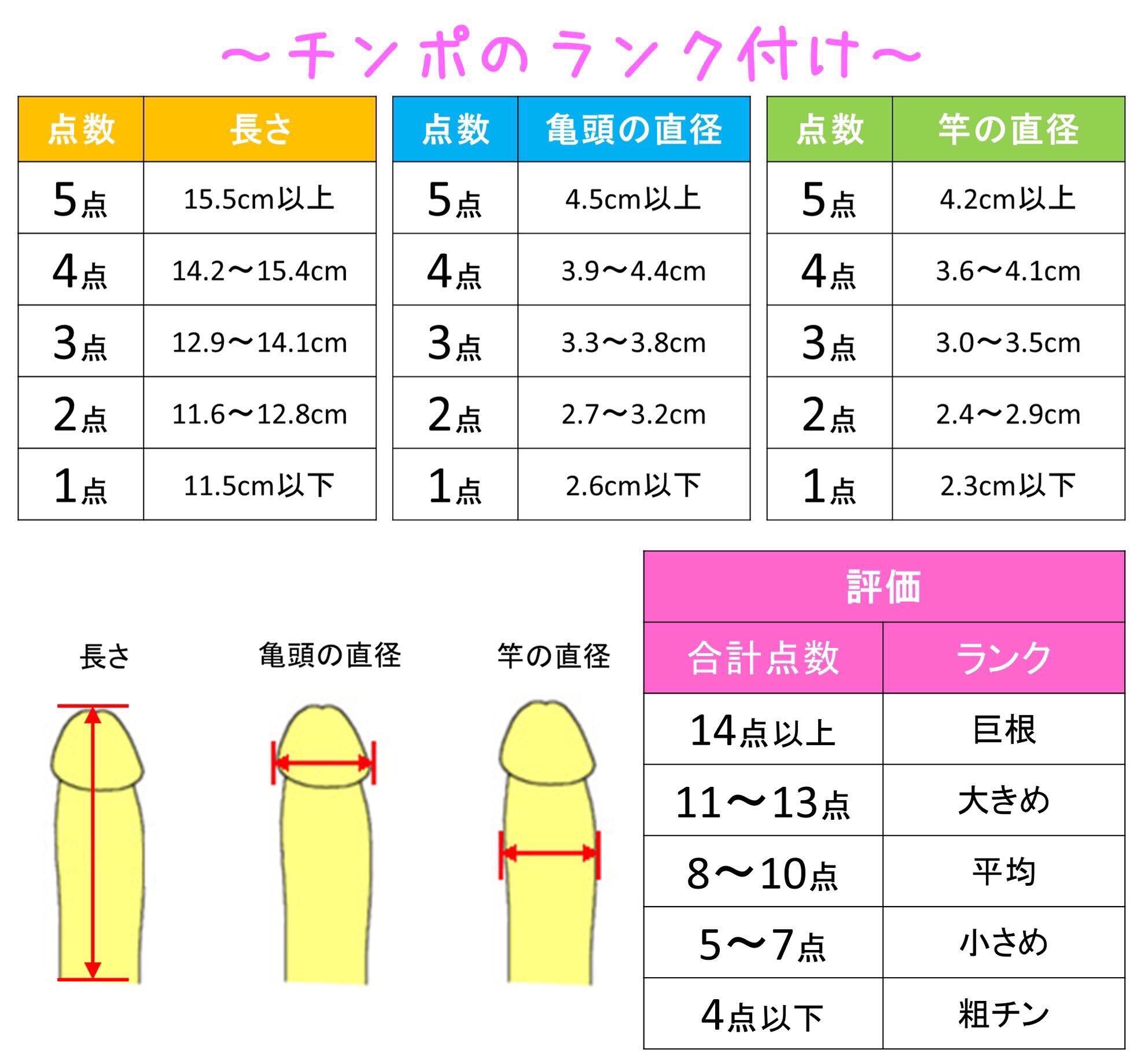 ペニスの大きさ平均は13cm！女性の理想サイズはさらにデカい！？｜薬の通販オンライン