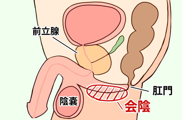 女の子のマスターベーション(オナニー)を知ろう【医師監修】 | セイシル