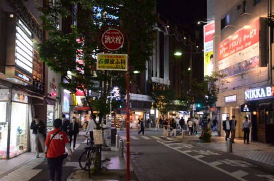 夜中、酔っ払いが多い。立ちんぼがいる。交番近いのにほん」 | 治安・安全の気になる点 |