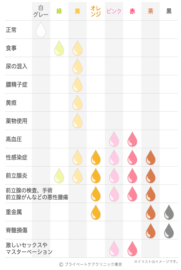 バイアグラ服用による精子への影響【浜松町第一クリニック】