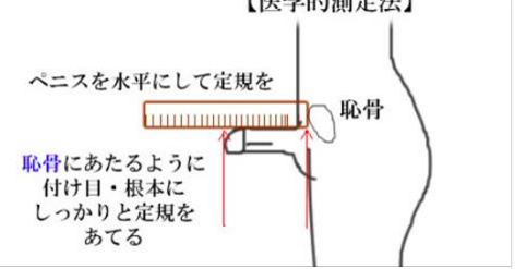 let'sチントレ！勃起力を高める筋トレ２選】 いつもレビオスメンズクリニックをご愛顧下さり 誠にありがとうございます。