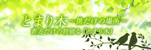 高知｜デリヘルドライバー・風俗送迎求人【メンズバニラ】で高収入バイト