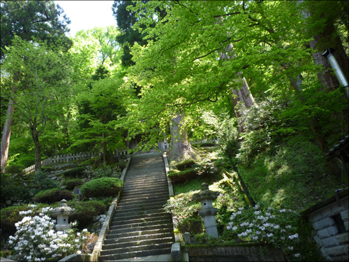 福井・芦原・永平寺で人気・おすすめの風俗をご紹介！