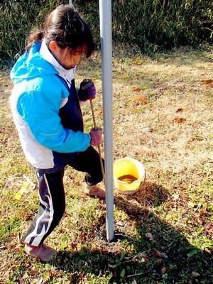 桃から生まれし者の真実 : 土佐料理 旬の鰹がゆく！