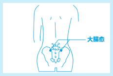 便秘解消に効く背中やお腹のツボや体操を紹介｜効果を高めるコツも！ ｜ からだにいいこと