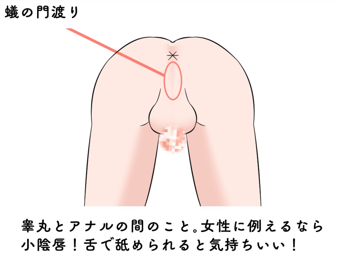 アナル舐めさせ小悪魔痴女 2 肛門クンニでむせるほど匂いと味を染みつかせケツ穴ヒクヒク丸出しSEXでイキ狂うプリ尻ビッチちゃん