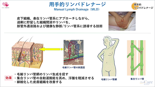 リンパドレナージュ・リンパマッサージとは？資格や違い、効果や仕事にする方法を解説