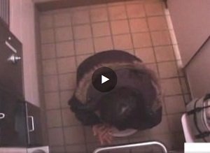 入ってまーす」人が待ってても意に介さない自己中でオナ中なお姉さんトイレ盗撮 | エロ動画の「エロ達」