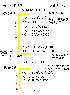 ファースト体操クラブ | 〜クラブ選手の紹介〜